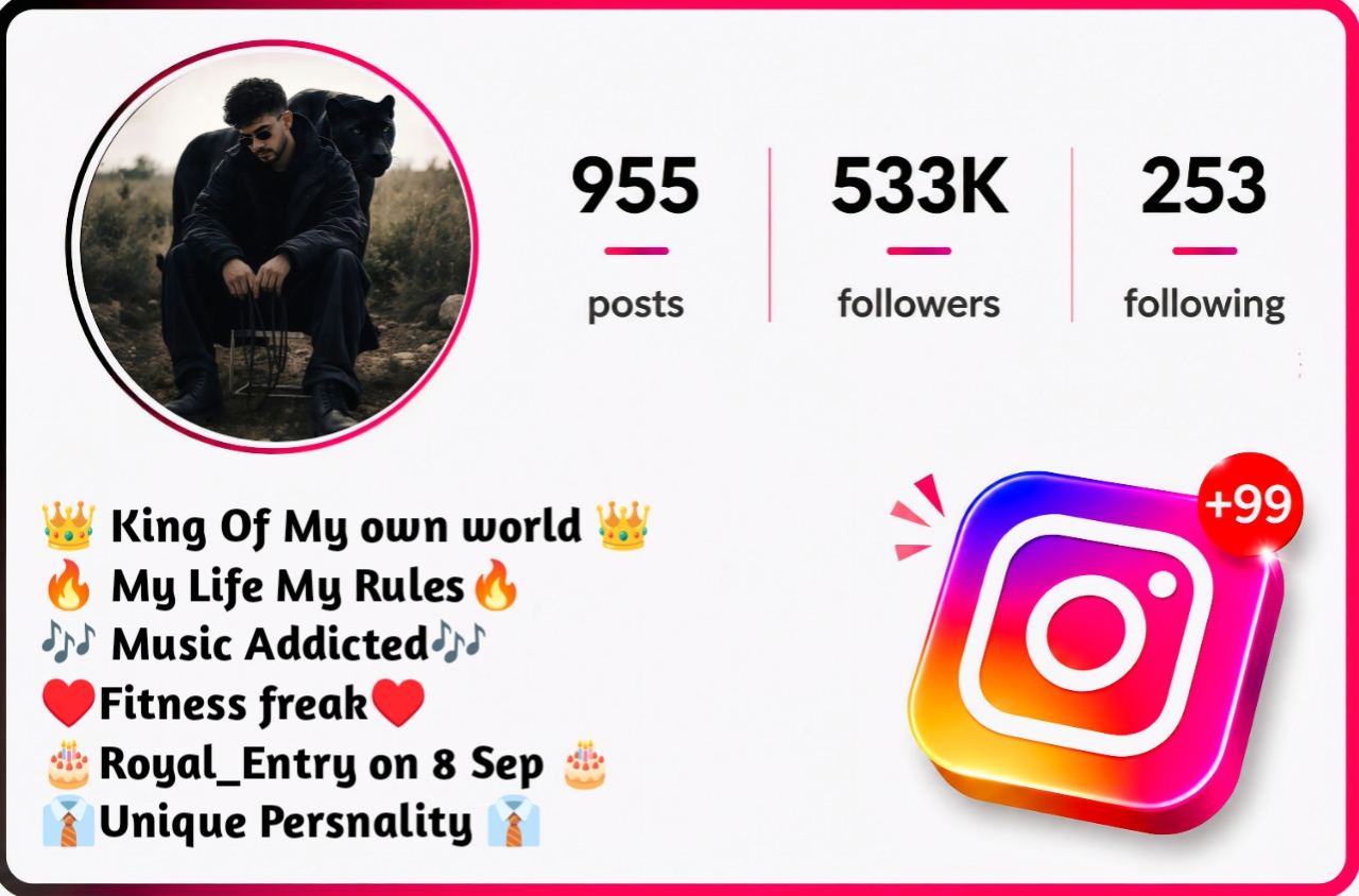 Instagram Bio For Boys Simple