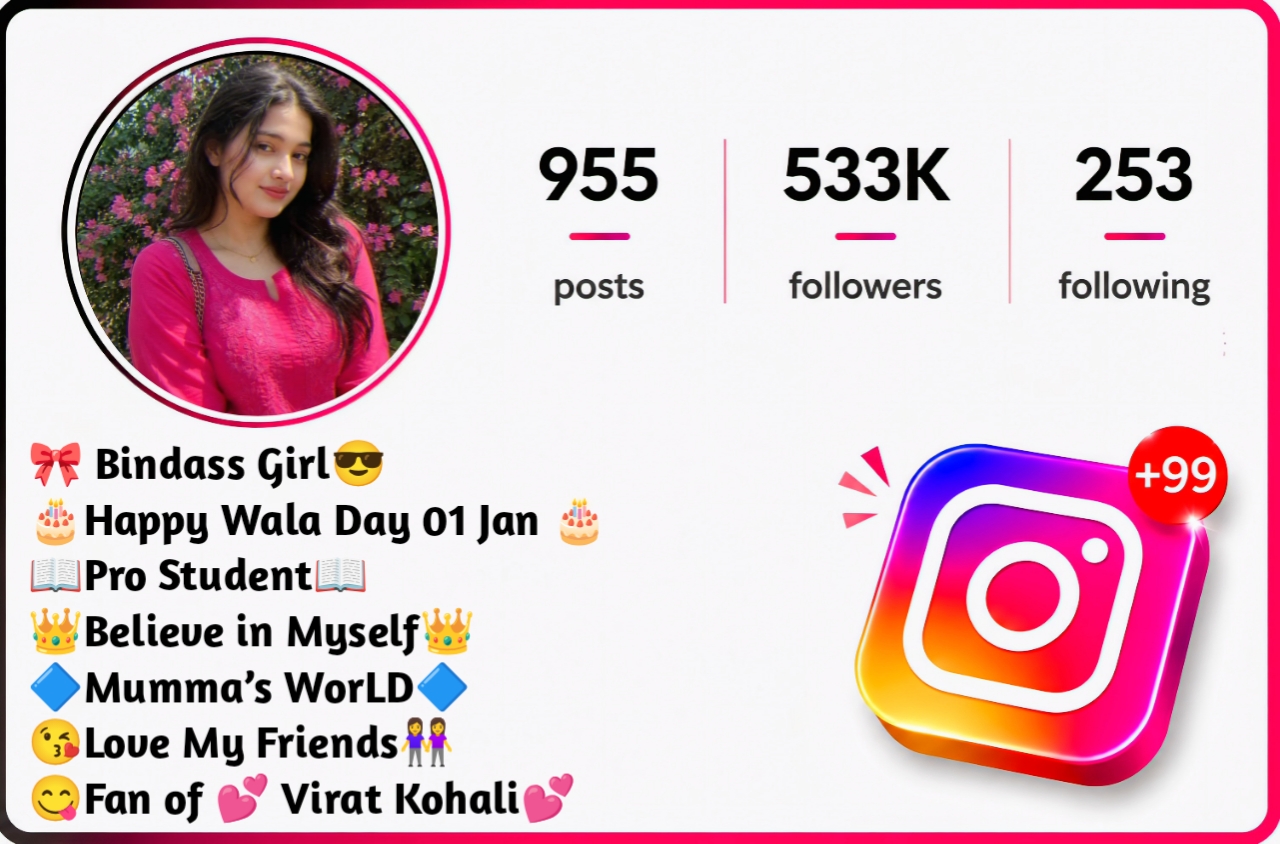 Instagram Bio For Girls Attitude