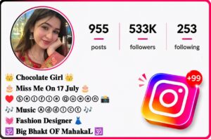 Short Instagram Bio For Girls